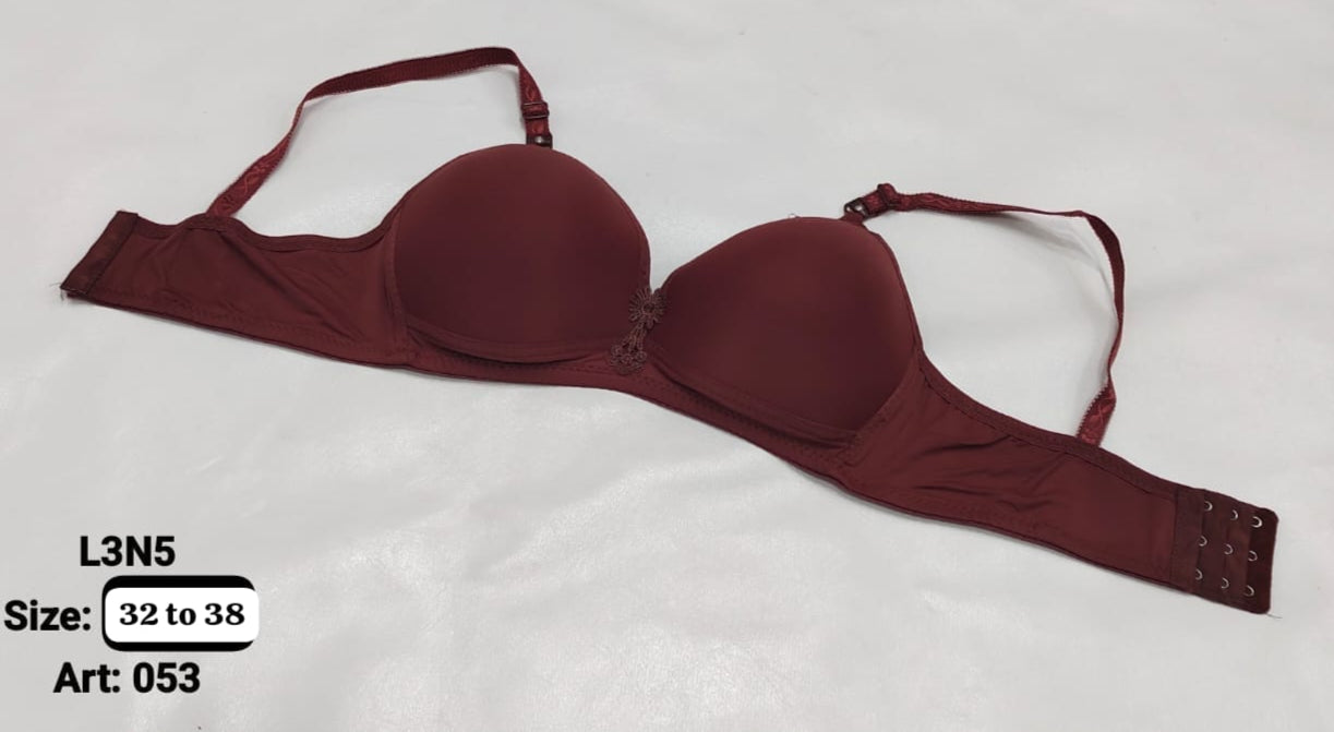 Silk Padded Bra