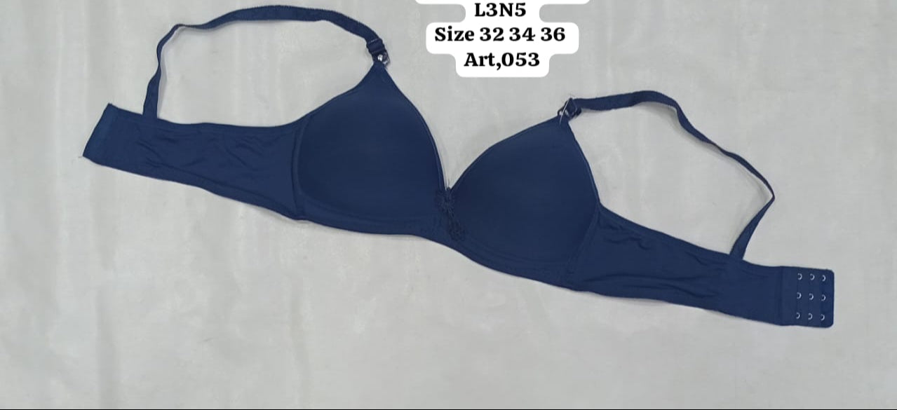 Silk Padded Bra